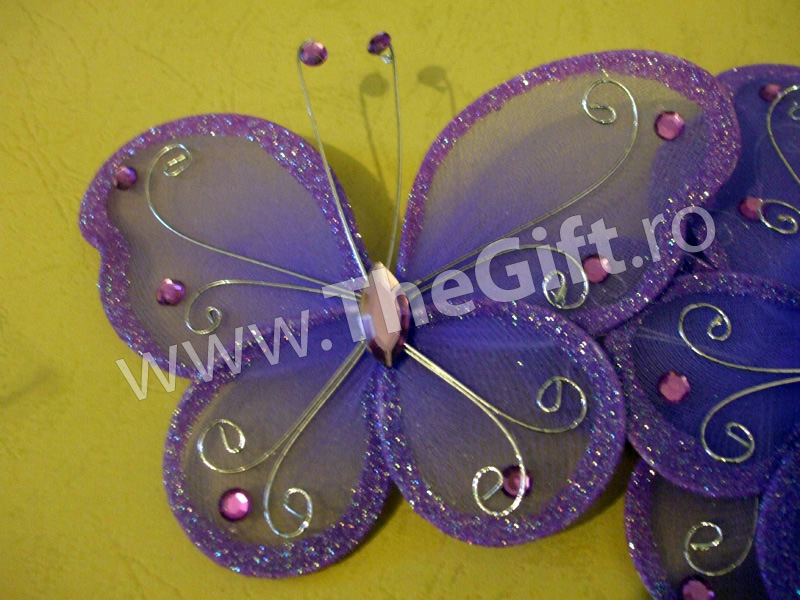 Fluturi decorativi
